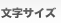 文字サイズ